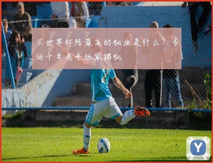 买世界杯陪最高的秘诀是什么？专访十年老手独家揭秘