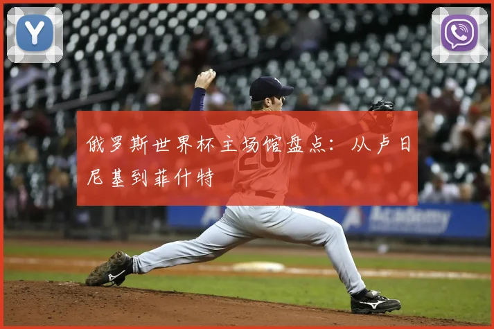 俄罗斯世界杯主场馆盘点：从卢日尼基到菲什特