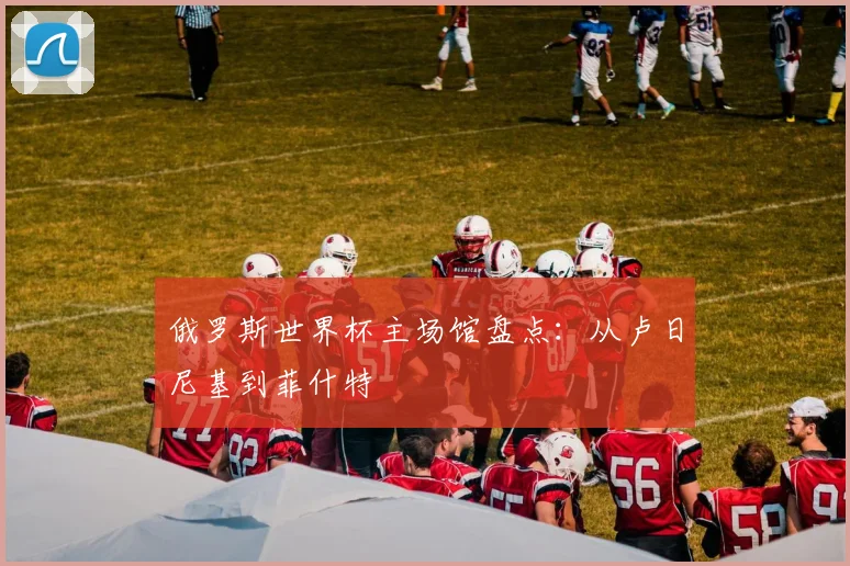 俄罗斯世界杯主场馆盘点：从卢日尼基到菲什特