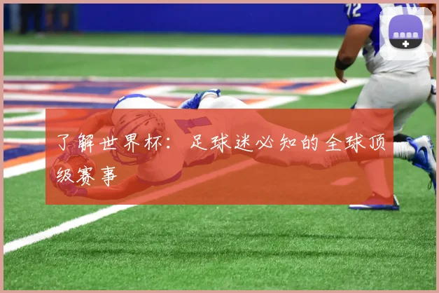 了解世界杯：足球迷必知的全球顶级赛事