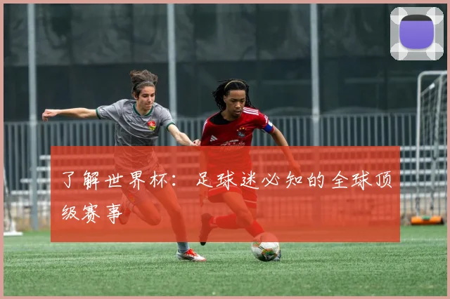 了解世界杯：足球迷必知的全球顶级赛事