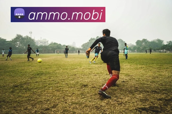 开云手机网页入口服务体系